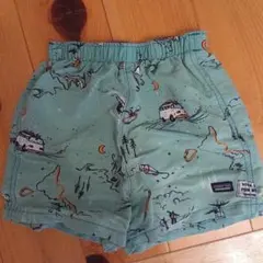 patagonia サーフパンツ ４Ｔ