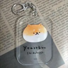 Item thumbnail for item 0bbc0b63-372e-48ca-9fe6-a4724aa31df1