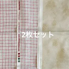 Robert Kaufman プリント生地 2種セット