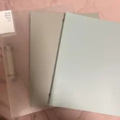 Item thumbnail for item de2d2f11-6e18-4bde-a95b-546ffb910c50