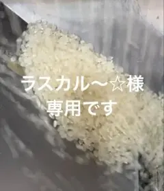 岩手県遠野　角閃石　砂状タイプ　約10kg　植物用　送料込み 岩手県遠野 角閃石 砂状タイプ 約10kg 植物用 送料込み - メルカリ