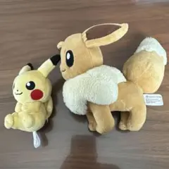 イーブイとピカチュウ　ぬいぐるみ　ポケモンセンター