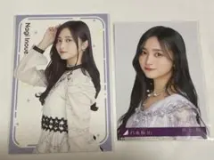 井上和 生写真 ポストカード