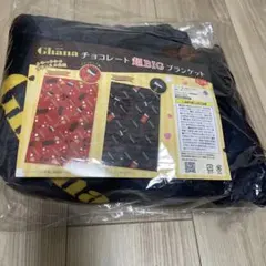 Item thumbnail for item 4a242c6d-c314-4dd7-9e46-f06e17b0ee77