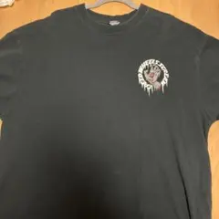 Santa Cruz Speed Wheels Tシャツのサムネイル