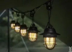 2026年最新】ミスタードングリの人気アイテム - メルカリ