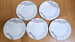 【新品未使用】KONOMI 大皿5枚セット 日本製 パスタ皿 和モダンのサムネイル