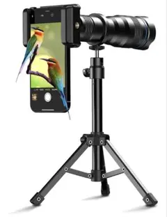 Item thumbnail for item 6f7742e8-1fab-4ac7-baa6-5b206713a786