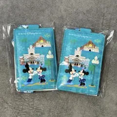 ディズニーシー　限定パスケース2個　JALプライベートイブニングパーティー