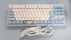 VspoGear Gaming Keyboard コラボエディション