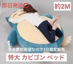 2026年最新】カビゴン ぬいぐるみ 特大の人気アイテム - メルカリ