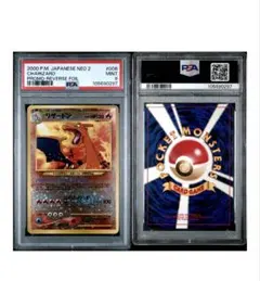 2025年最新】プレミアムファイル2 リザードンの人気アイテム - メルカリ