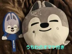 WolfChan】 SKZOO ドーム型 BIG ぬいぐるみ【GIGO限定】 - メルカリ