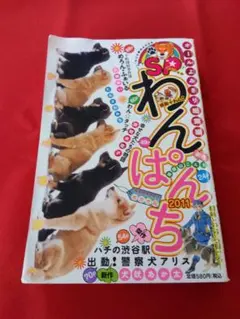 Item thumbnail for item 77492811-0115-4f93-abff-59e8fe7e2d1e