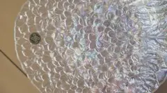 HOYAガラス製花模様皿 5枚セット