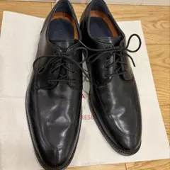 2026年最新】Cole Haan シューズ型：Uチップ・Vチップ メンズ ドレス