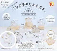 【限定】チワワ(白) うちの子のけだまだま