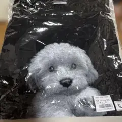 岩橋玄樹　How To Love BIG Tシャツ　 XLサイズ