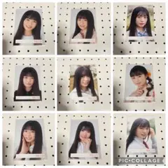 (*)様 櫻坂46 稲熊ひな 生写真 24枚セット