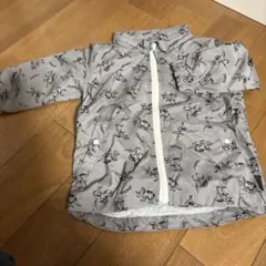 Item thumbnail for item 2ad68325-3196-4b08-a2f5-4fb87d8fd82e