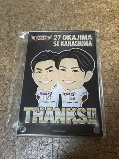 東北楽天ゴールデンイーグルス 岡島豪郎 辛島航 アクリルプレート