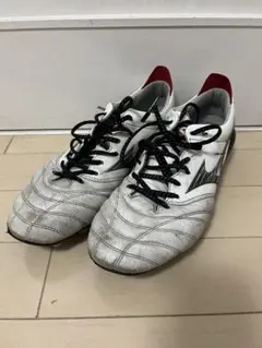 2025年最新】モレリアネオ4 26.5の人気アイテム - メルカリ