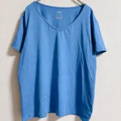Vネック Tシャツ ブルー 半袖 トレーニングウェア スポーツ【L】