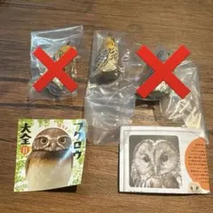 フクロウ大全Ⅱのサムネイル