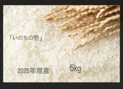 令和7年産米いのちの壱☆酵素散布米 ☆玄米 いのちの壱 10キロ 精米