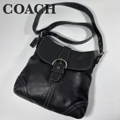 COACHソーホートートバッグ☆美品、本革オールレザー、17216