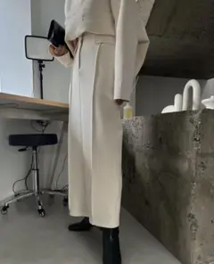 WILLFULLY ウィルフリー ポンチ ペンシル センター シーム スカートのサムネイル