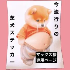 マックス様　専用ページ