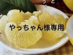 やっちゃん様専用　土佐文旦赤玉ミックス10キロ