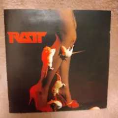 RATT CDコレクション 6枚セット　美品 RATT / ラット商品一覧｜ディスクユニオン・オンラインショップ