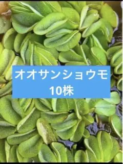 しるびあ（プロフ必読）様 リクエスト 3点 まとめ商品