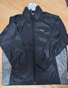 Item thumbnail for item 992eea01-0656-4cc4-a8c0-6ca0aa77b021