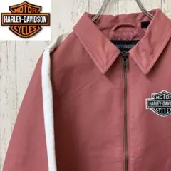 Item thumbnail for item 345ea535-048f-4253-b569-02aa569f7477