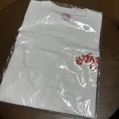 Item thumbnail for item 38279bff-a613-41bf-bfcf-0766ee4d5aee