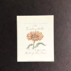 Item thumbnail for item e0169dd7-8914-4c6f-8ead-1e484a34e48e