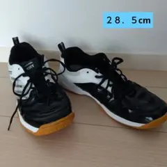 卓球・バドミントン用シューズ 28.5cm ブラック/ホワイト