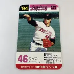 タカラプロ野球カードゲーム '88年度 ヤクルトスワローズ テリー