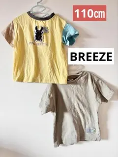 BREEZE ブリーズ 半袖Tシャツ 110cm 2枚セット クワガタ 夏服
