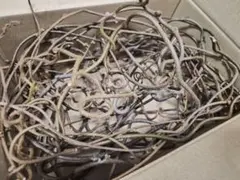 2026年最新】キウイのつるの人気アイテム - メルカリ