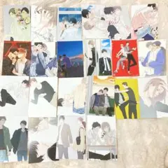 美しい彼セット 小説劇場版記念帯 漫画1～6全巻 公式ガイド 八木勇征