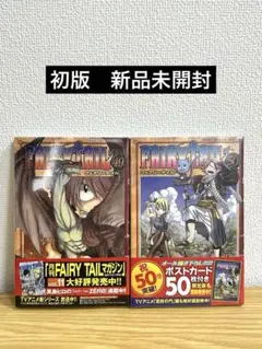 2026年最新】フェアリーテイル 初版 未開封の人気アイテム - メルカリ
