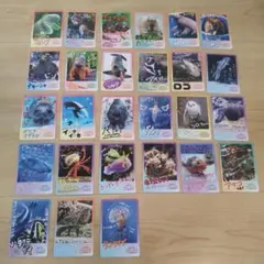 ノーマルコンプセット41枚 鳥羽水族館コレクションカード2 とばすい