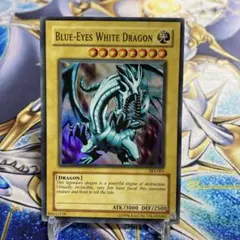 【遊戯王カード　北米版】　青眼の白龍　英語