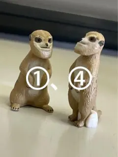ミーアフィギュア①、④