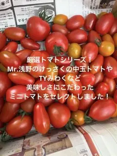 7品種ミックス！ミニトマト中玉トマト！秋田県産のサムネイル