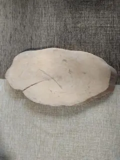 Item thumbnail for item 847bc024-aa05-43fe-9d74-a877c6e28c88